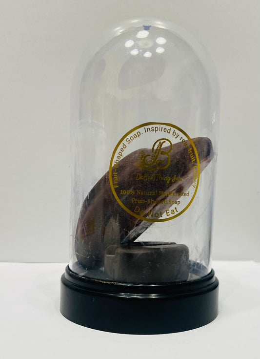 Cocoa and Coffee Bean  Face and Body Soap Inspired by real fruits 100% Natural XL Soap 3 soap bundle